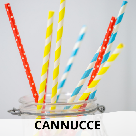 CANNUCCE